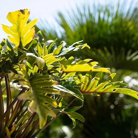 ホテル デュ ソレイユ 3*