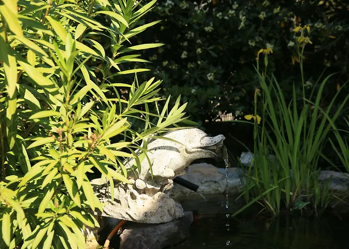 Du Soleil Saint-Raphaël